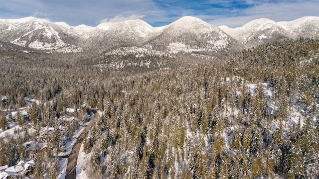 165 Woodland Star Cir, Whitefish, MT 59937