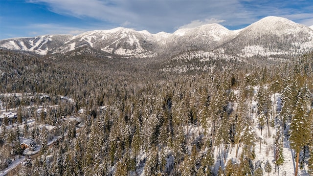 165 Woodland Star Cir, Whitefish, MT 59937