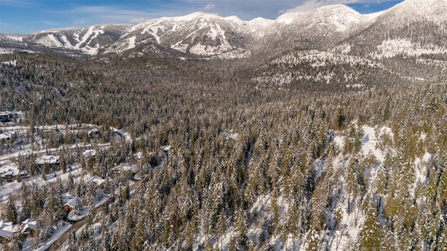 165 Woodland Star Cir, Whitefish, MT 59937