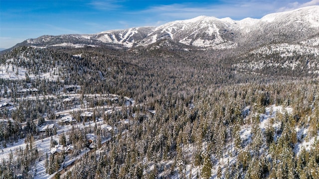 165 Woodland Star Cir, Whitefish, MT 59937