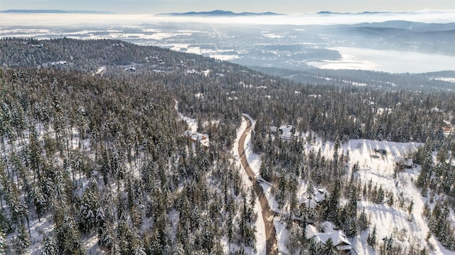 165 Woodland Star Cir, Whitefish, MT 59937
