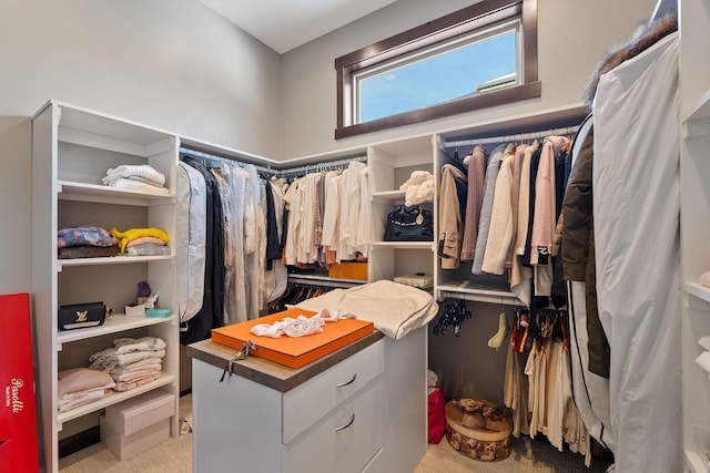 spacious closet with light carpet