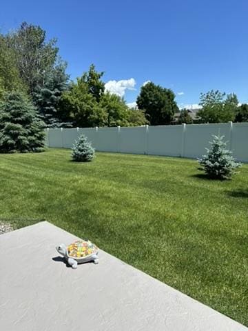 view of yard with a patio area