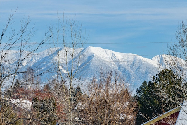 view of mountain feature