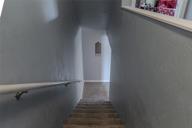 stairway with carpet flooring