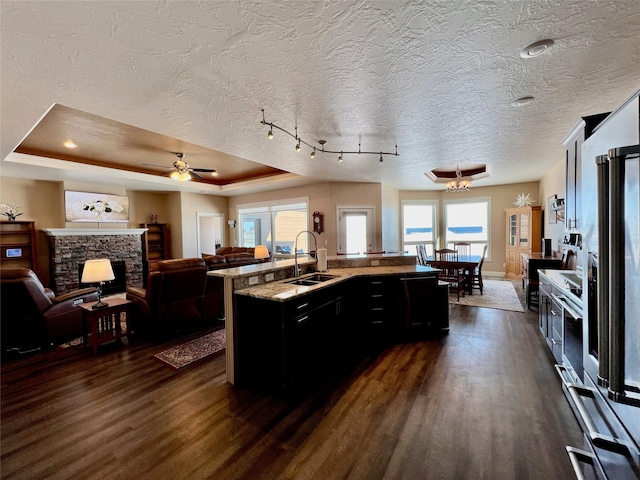 kitchen with ceiling fan, a raised ceiling, sink, an island with sink, and track lighting