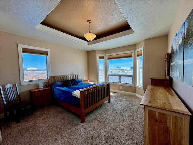 carpeted bedroom with a water view, a tray ceiling, and a textured ceiling