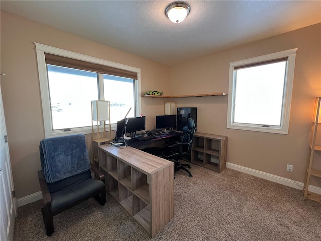 home office with a textured ceiling and carpet flooring