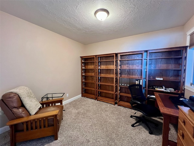 office space featuring carpet and a textured ceiling