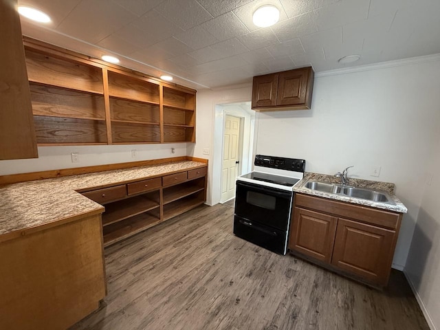 kitchen with wood-type flooring, sink, electric range oven, and ornamental molding