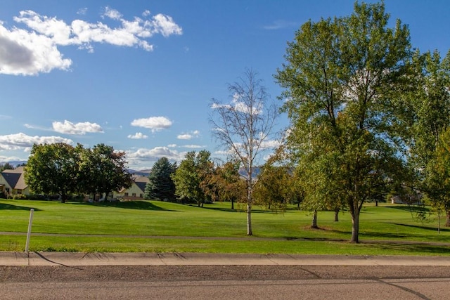 view of community with a lawn