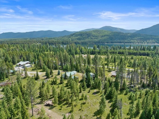 bird's eye view with a mountain view