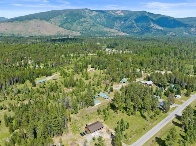 drone / aerial view with a mountain view