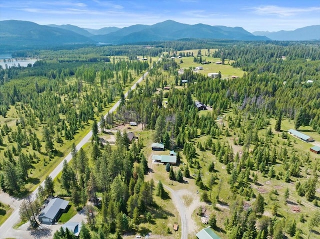 birds eye view of property with a mountain view