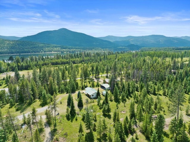 drone / aerial view with a mountain view