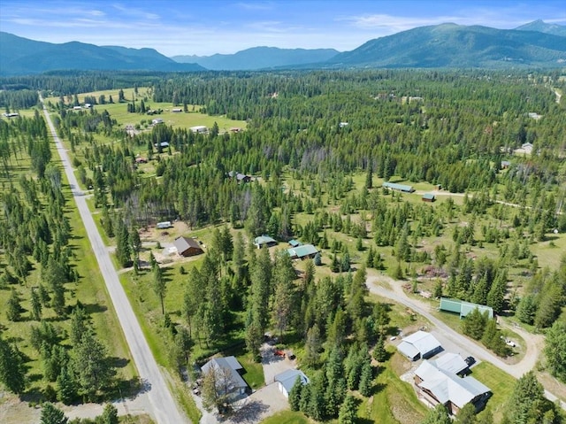 drone / aerial view featuring a mountain view