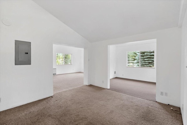 carpeted spare room featuring electric panel, a healthy amount of sunlight, and high vaulted ceiling