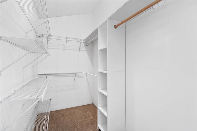 walk in closet with carpet