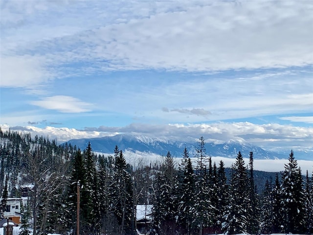 3898 Big Mountain Rd Unit 202, Whitefish, MT 59937 - mountain view