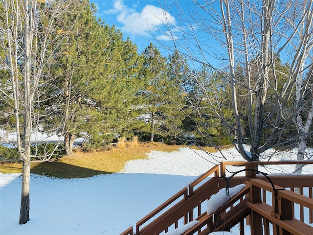 view of snowy yard