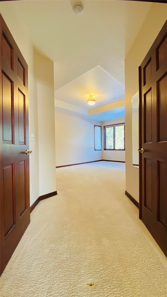 spare room featuring light carpet