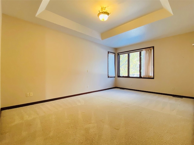 spare room with light carpet and a tray ceiling