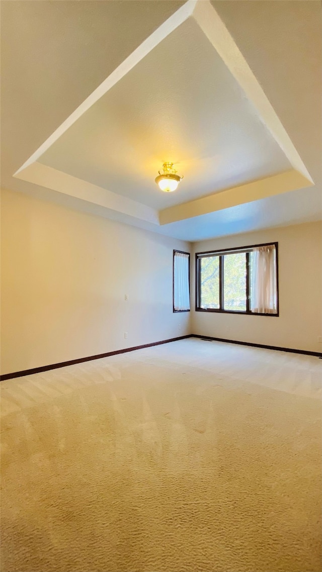 carpeted spare room featuring a raised ceiling