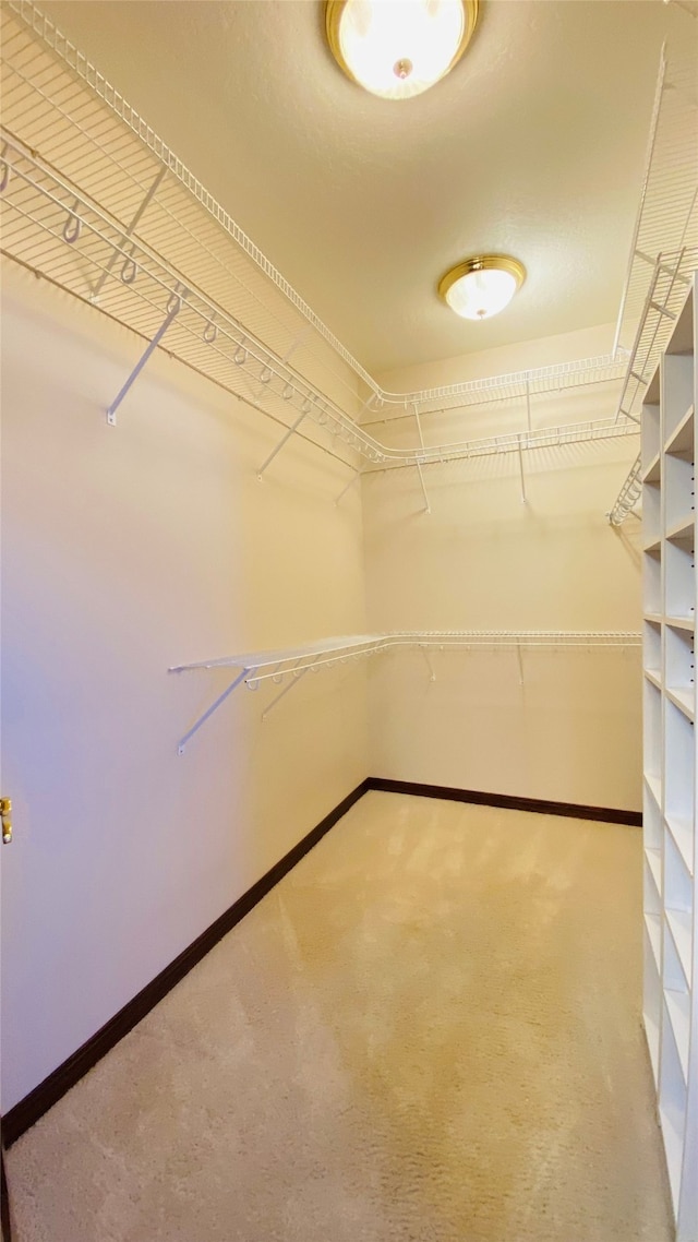 spacious closet with carpet