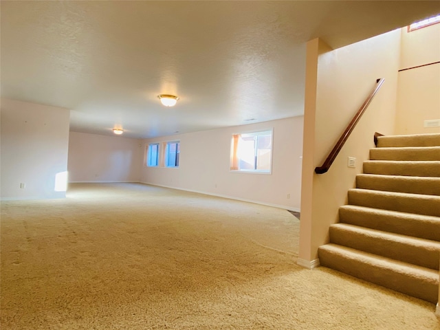 basement with carpet floors