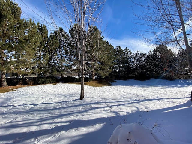 view of yard layered in snow