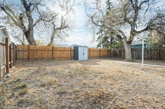 view of yard with a storage shed