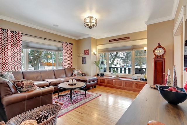 living room with crown molding and light wood-type flooring