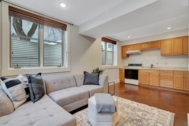 living room featuring sink