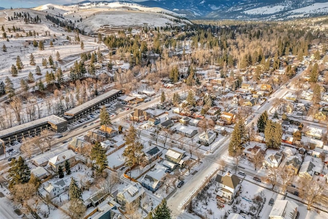 snowy aerial view with a mountain view