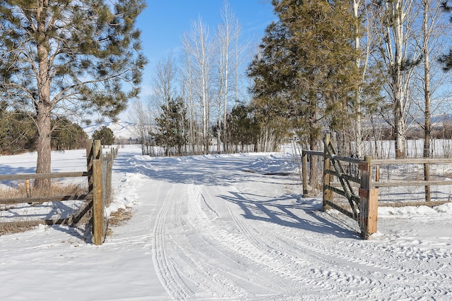 view of yard layered in snow