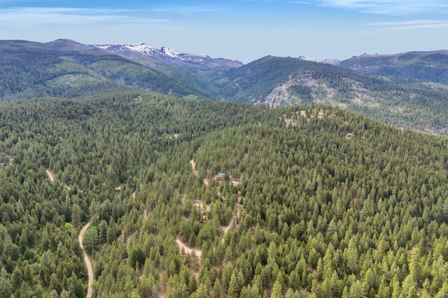 2122 Lightning Draw Trl, Victor, MT 59875 - view of mountain background featuring a forest