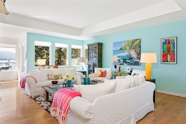 living room with light hardwood / wood-style flooring and a raised ceiling