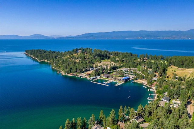 drone / aerial view featuring a water and mountain view