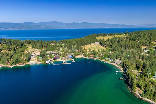 bird's eye view featuring a water and mountain view