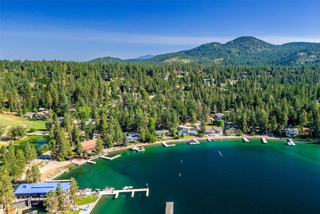 bird's eye view with a water and mountain view