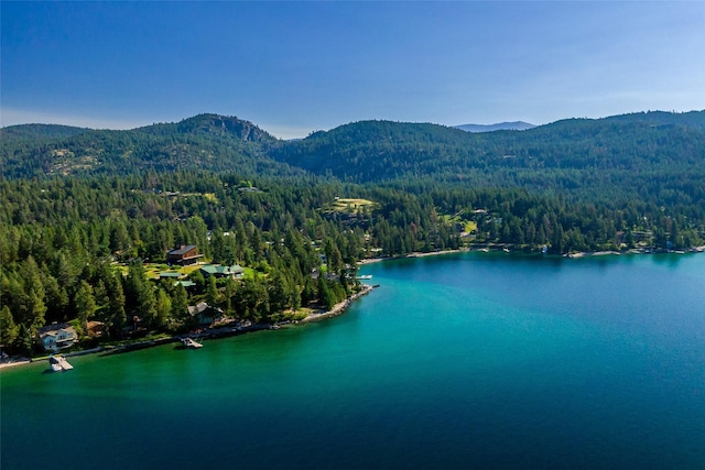 birds eye view of property featuring a water and mountain view