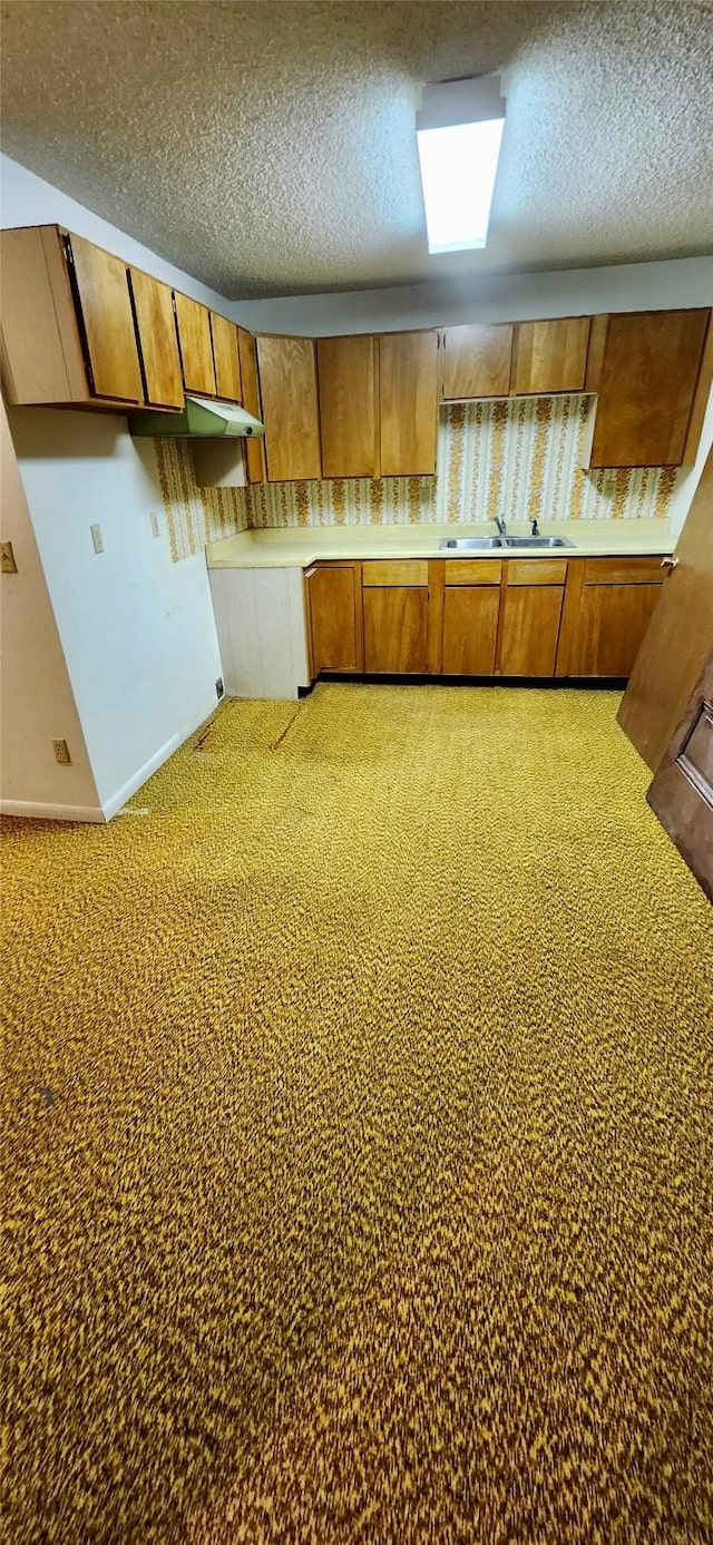 interior space featuring sink, carpet flooring, and a textured ceiling