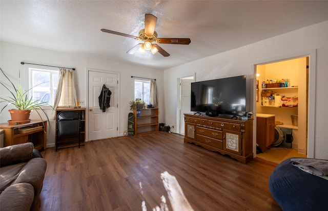 living room featuring ceiling fan and dark hardwood / wood-style floors