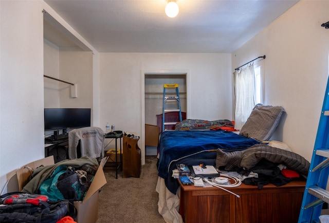 bedroom with carpet