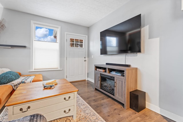 living room featuring wood-type flooring