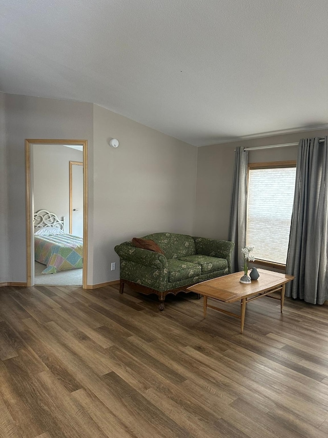 sitting room featuring wood-type flooring