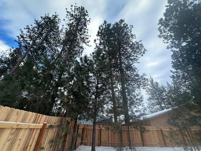 view of yard covered in snow