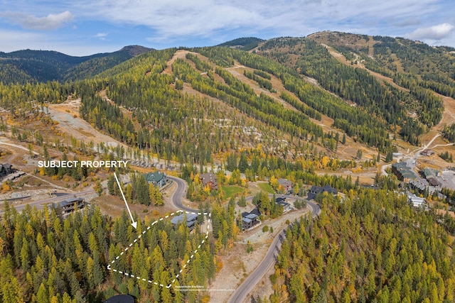 bird's eye view with a mountain view