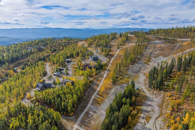 bird's eye view with a mountain view