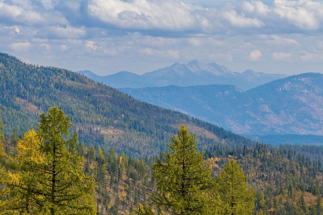 view of mountain feature